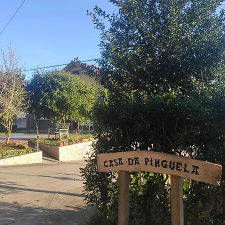 Casa Da Pinguela Camino Ingles Villa Ordes Exterior photo