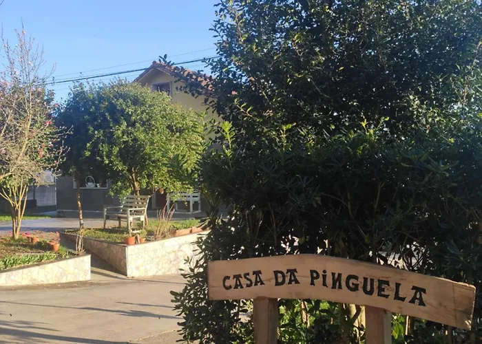 Casa Da Pinguela Camino Ingles